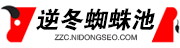 黑帽客蜘蛛池系统